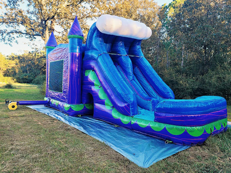 Bounce House W/ Slide Rentals