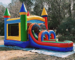 Single Lane Rainbow Castle Bounce House/Water Slide Combo (W